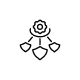 Centralized Policy Management