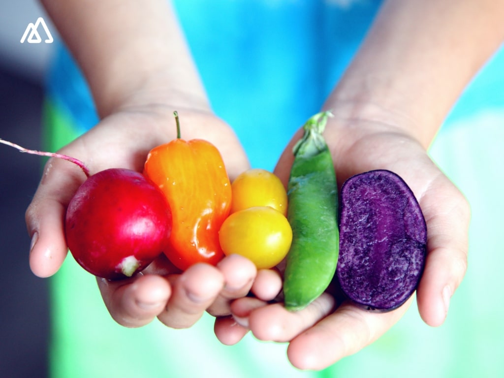 How to Choose the Best CRM for Small Business