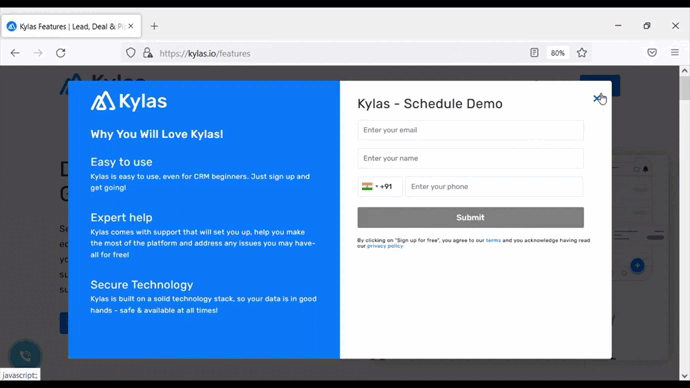 Kylas Lead Gneration WebForm GIf