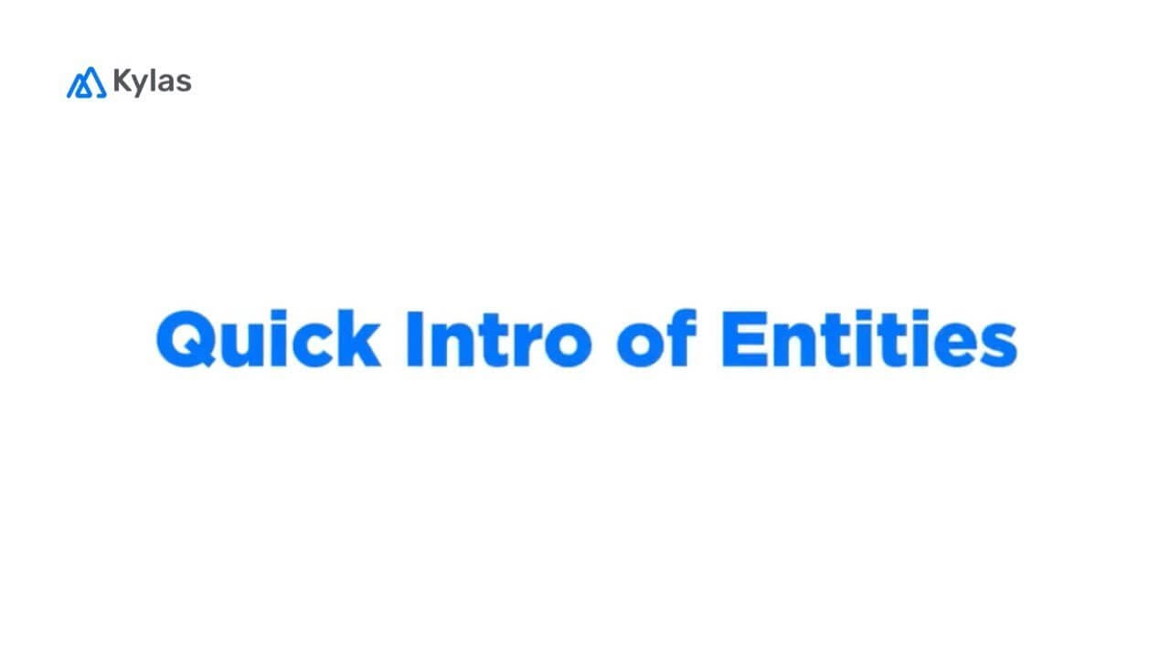 Video – Quick Introduction to Kylas  Entities